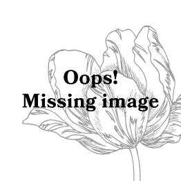 Essenza Nora Violesta Lange Hose Anthracite
