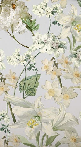 Screensaver Rosalee grau
