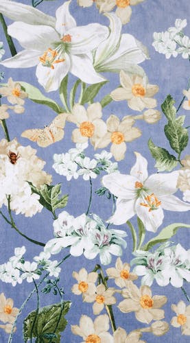 Screensaver Rosalee in Blau