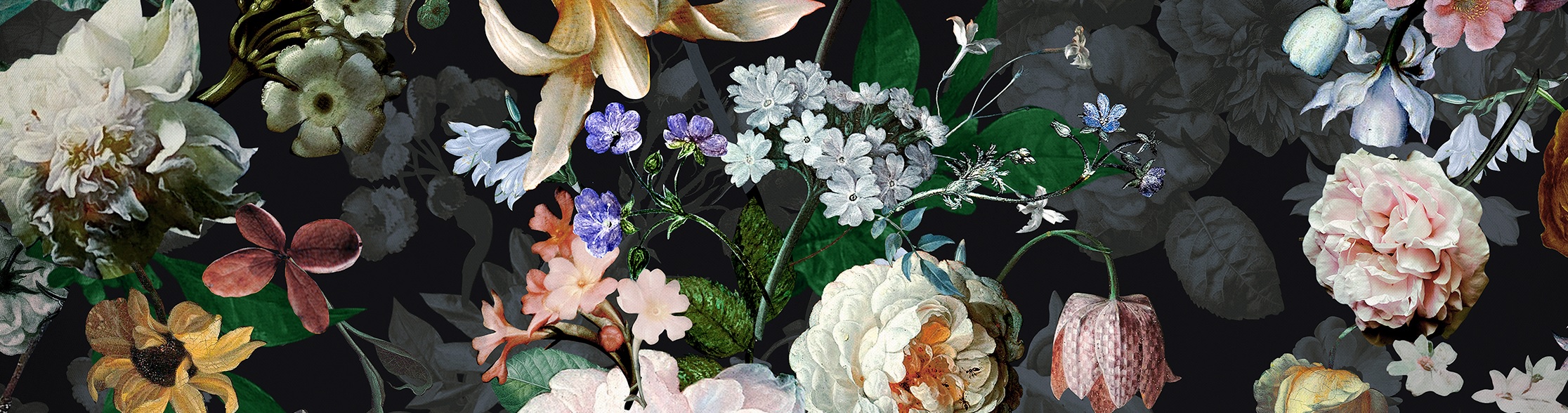 ESSENZA Fleur Festive Blooming Black