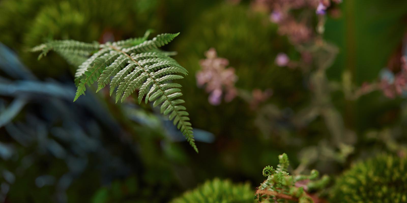 So geht botanisch wohnen!